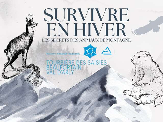 Survivre en hiver : les secrets des animaux de montagne