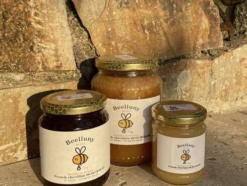 Visite de la passion - apiculture FAMILIALE