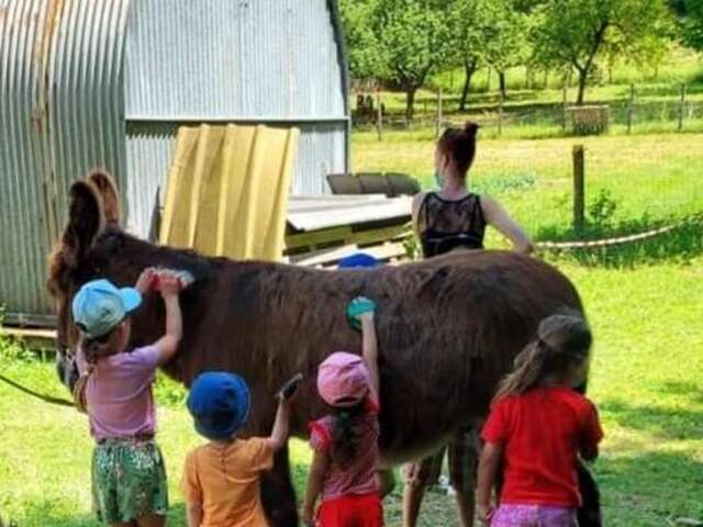 Folie(s) Végétales 2026 - Ferme pédagogique