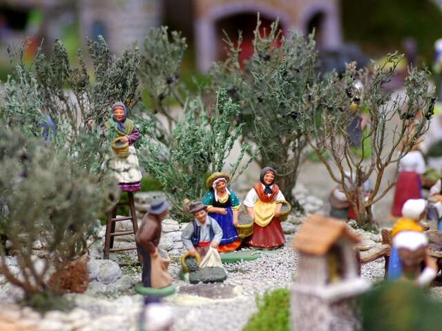 Immersion Tradition : Noël en Provence