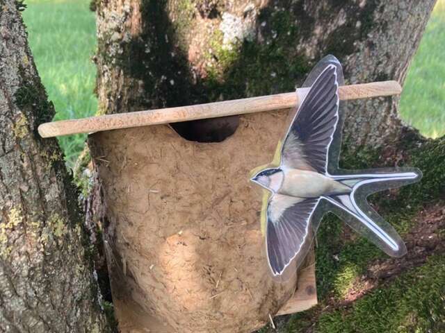 Swallow Nest Workshop