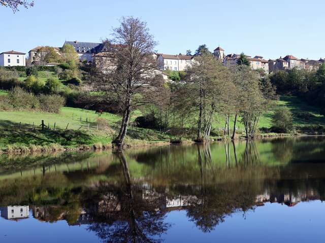 Itinéraire VTT : circuit 20 bleu, base Belmont-de-la-Loire