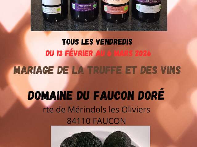 Wine and truffle pairing workshop - Domaine du Faucon Doré