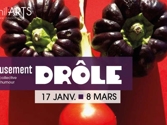 Exposition collective sur l’art et l’humour : Sérieusement drôle