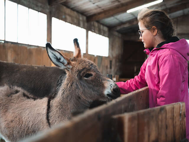 Les ânes de Milou - ezelboerderij