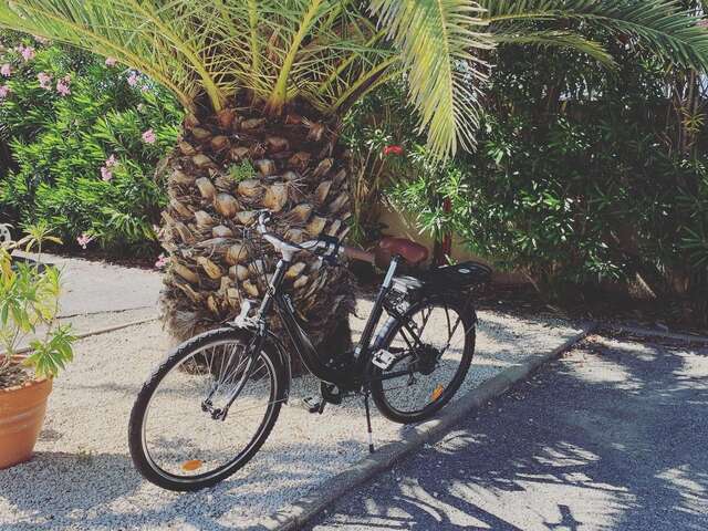 1 Véloc Camargue  - Location de vélos