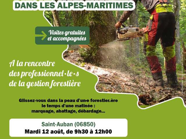 Vis ma vis de bucheron à Saint-Auban