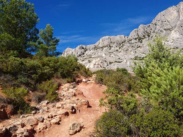 Parc Départemental de Roques Hautes