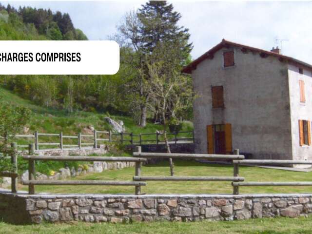Les Jonquilles
