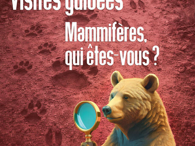Guided tour: Mammals—who are you?