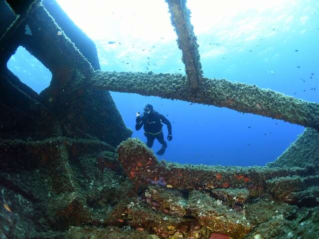 Point rencontre : Les épaves de Porquerolles