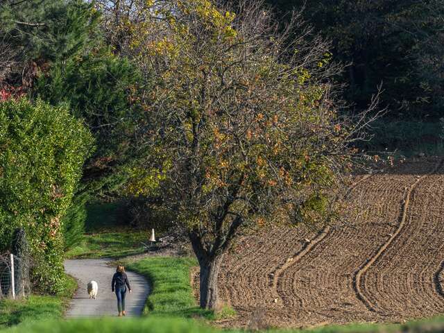 Marche « Sur les chemins de l'eau »