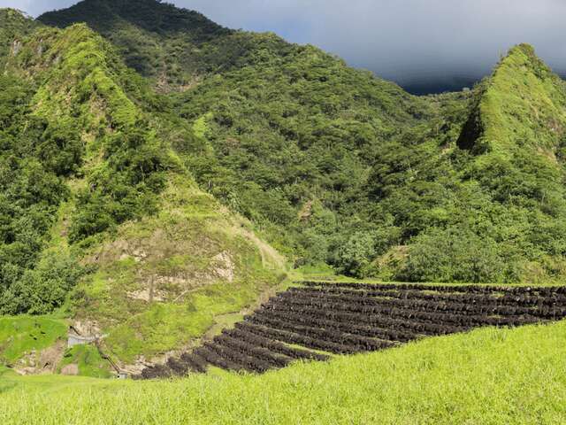 Tahiti Discovery