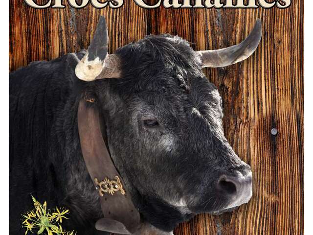 Visite à la ferme, Vaches Hérens - Croës Canailles