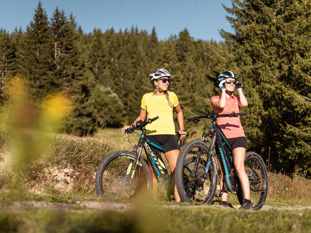 Le Bois des Raîches - Itinéraire VTT Cross country n°44