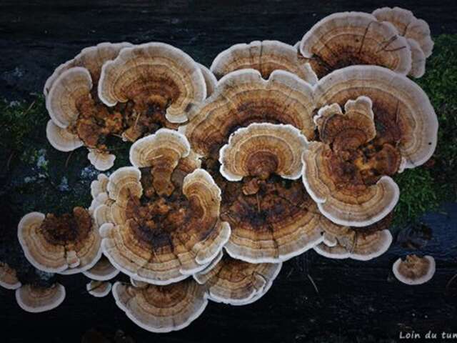 Exposition photo d'Emilie Pandreau, photographe