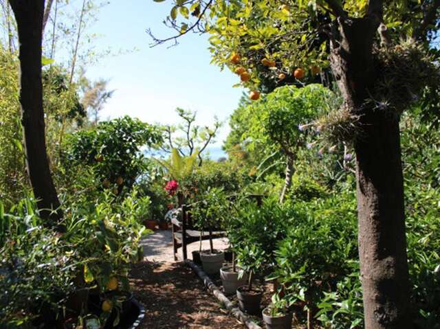 92ème Fête du Citron® - Maison Gannac : Visite libre du verger