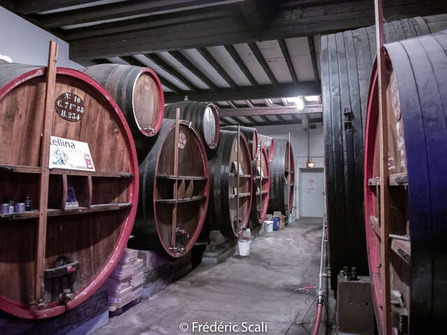 Journée groupes "Au Pays de Brillat-Savarin"