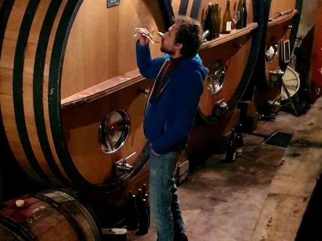 Visite de la cave & dégustation - Domaine La Ferme Saint-Martin