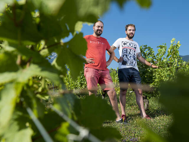Apéro'Vignes au Domaine Dupraz