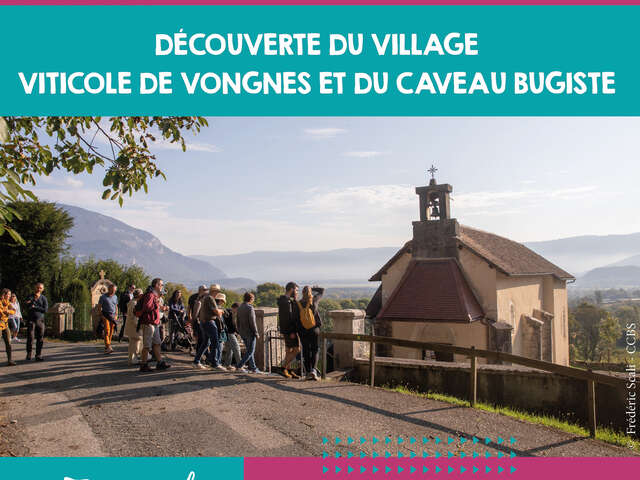 Visite gourmande : découverte du village viticole de Vongnes