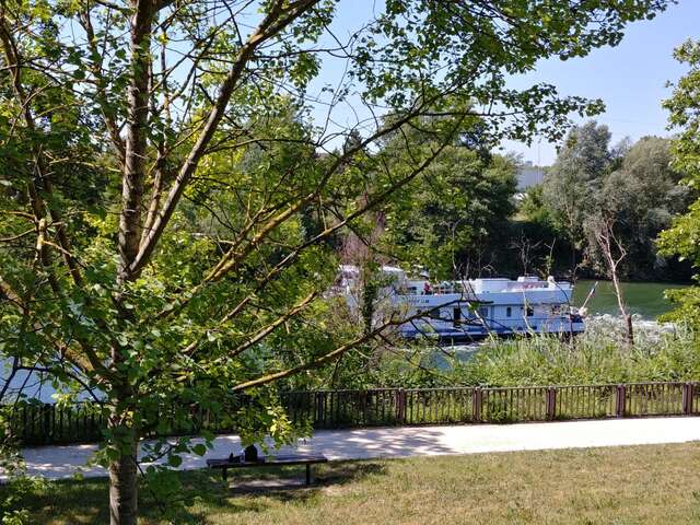 Animation nature - Balade biodiversité