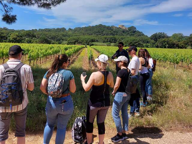 A Wine-Tasting and Sensory Tour at the Courtade Estate