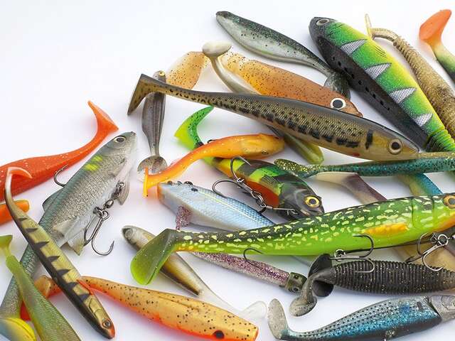 Semaine gourmande : Pêche aux leurres en lac