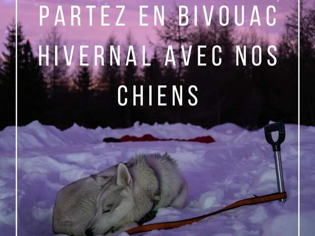 Raid bivouac en traineau à chiens