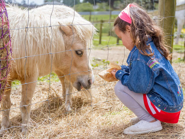 Écuries Les Pies du Sud