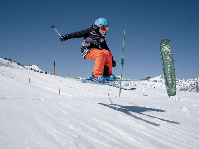 The Mom'Park super wheel