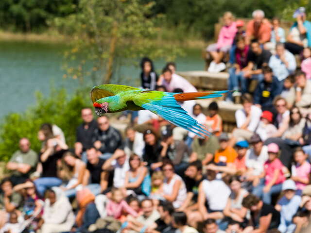 Parc des Oiseaux