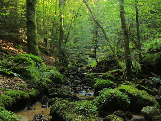 Le circuit des petites cascades