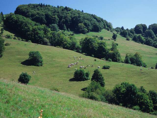 Sortie archéologie au Salève