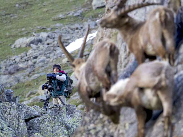 Masterclass: “Mountain Wildlife Filmmaker”
