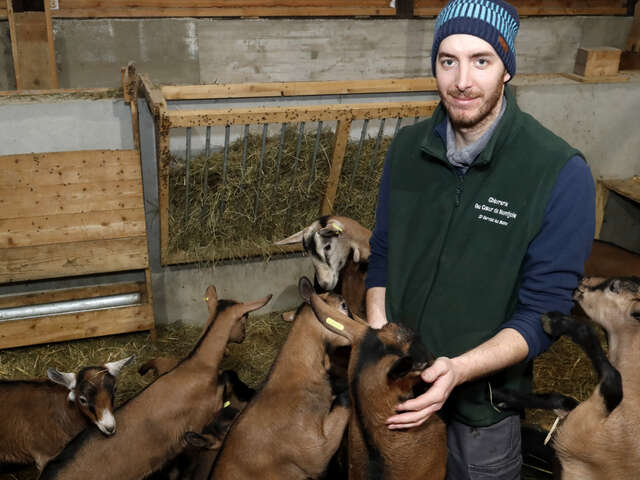 Visite libre de la chèvrerie au cœur du Montjoie