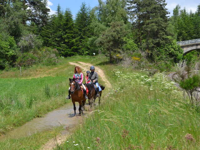 Equitation - Ferme équestre Les Fougères