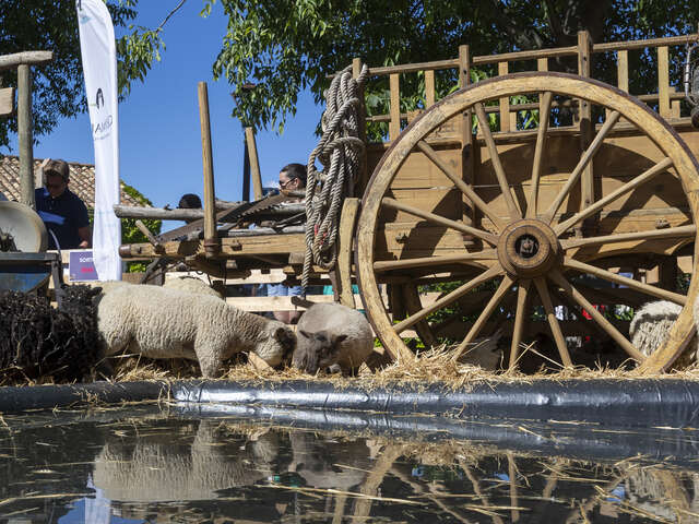 Saturdays at Ranch de la Mène