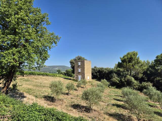 Visite du vignoble 'La vigne en mouvement' - La Maison des Nomades