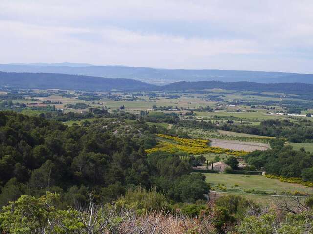 Circuit permanent pédestre : le Mourre Nègre de Cucuron