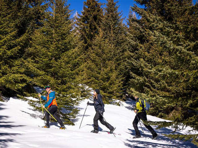 Détectives en raquettes