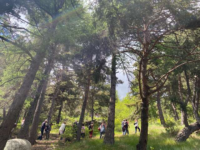 Arboretum Marcel Kroenlein