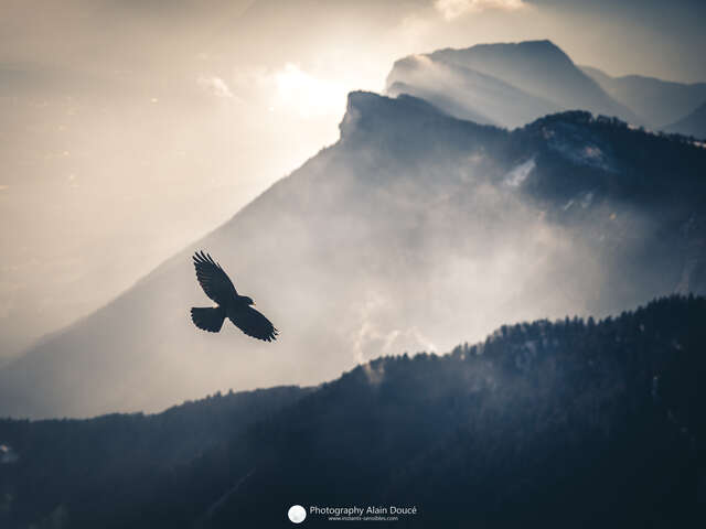 Randonnée et photographie été