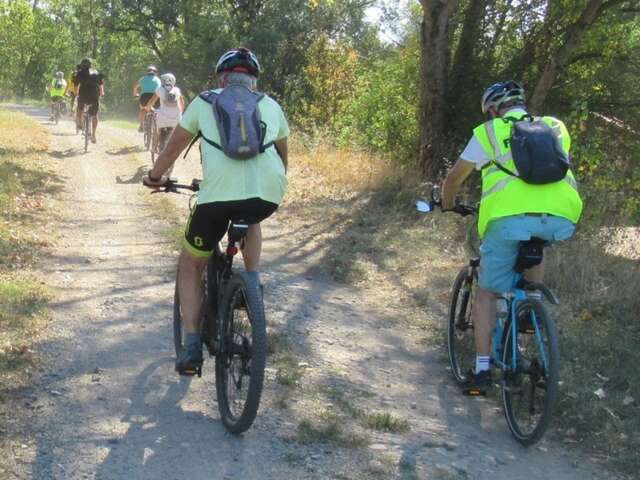 Balade familiale à vélo