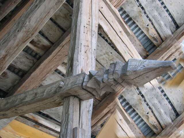 Les crocodiles de Nancy-sur-Cluses