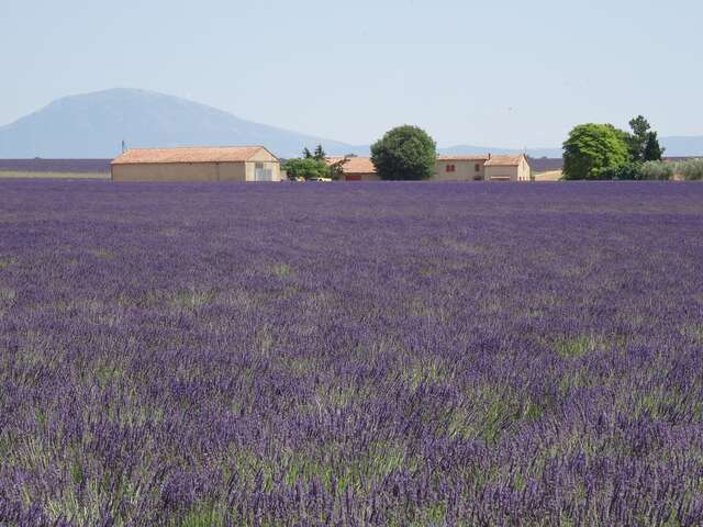 Les conférences environnement à La Londe les Maures