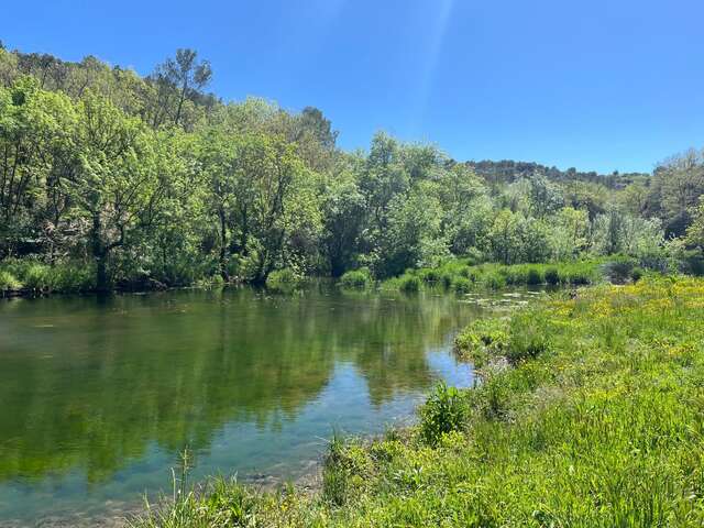 Zones humides et trame turquoise - sortie nature