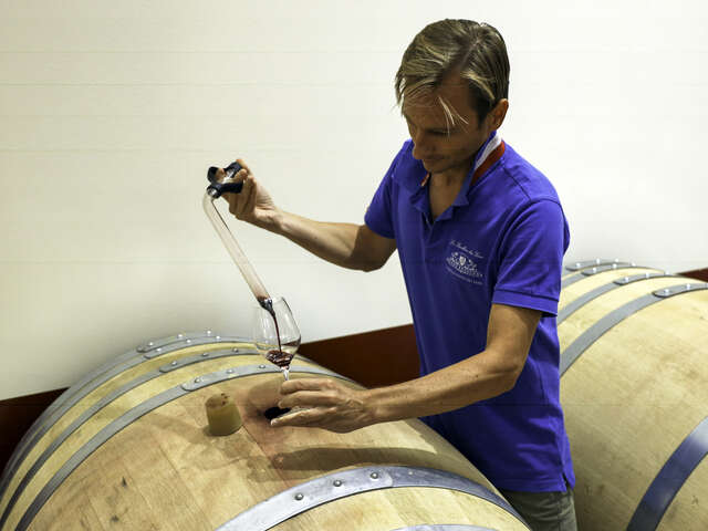 Dégustations à la barrique au Pavillon Bouachon