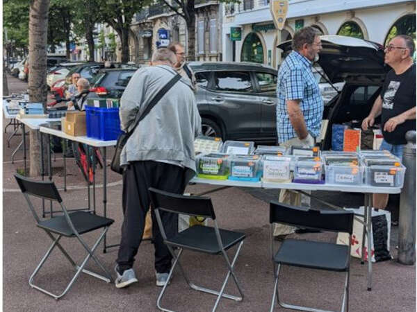 Petit marché de timbres et pièces de monnaie de collection