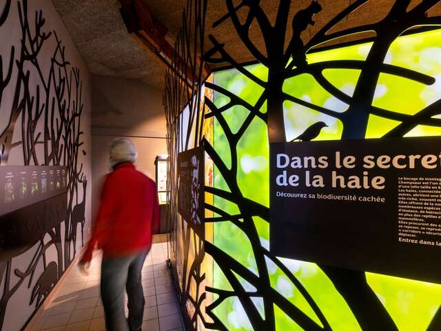 Exposition : Dans le secret de la haie